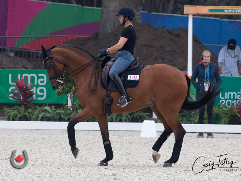 CET on the Go | A Glimpse Behind the Gold Medal